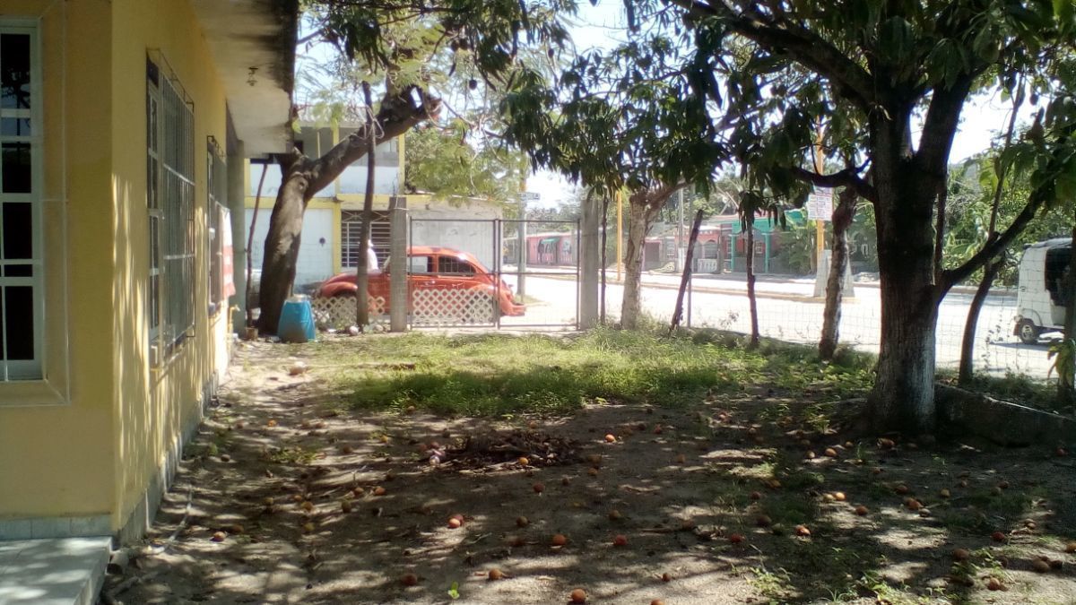 3 de 6