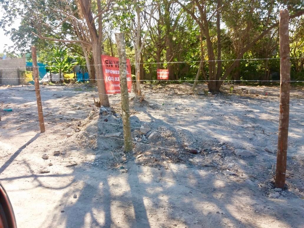 3 de 16: TERRENO EN VENTA EN CHETUMAL  QUINTANA ROO