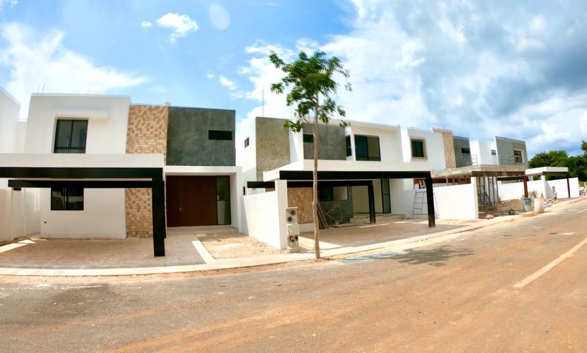 3 de 20: SEMBRADO