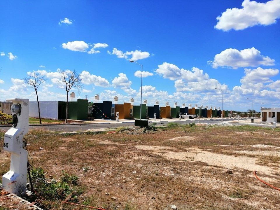 4 de 14