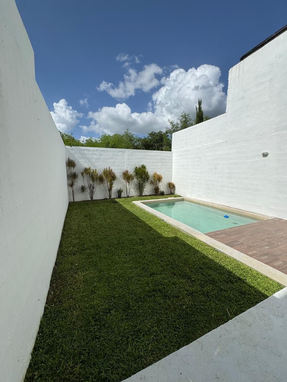 6 de 23: Jardín y Piscina