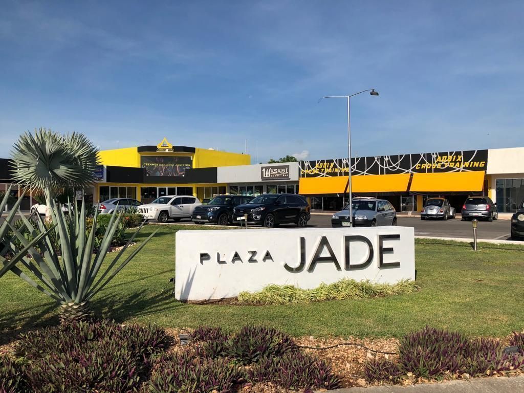 1 de 3