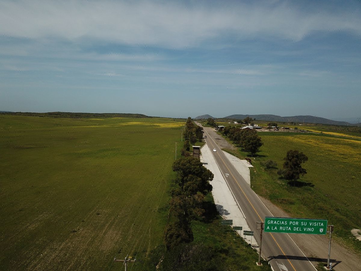 Terreno campestre en venta, 159.22 Hectáreas en Valle de Guadalupe