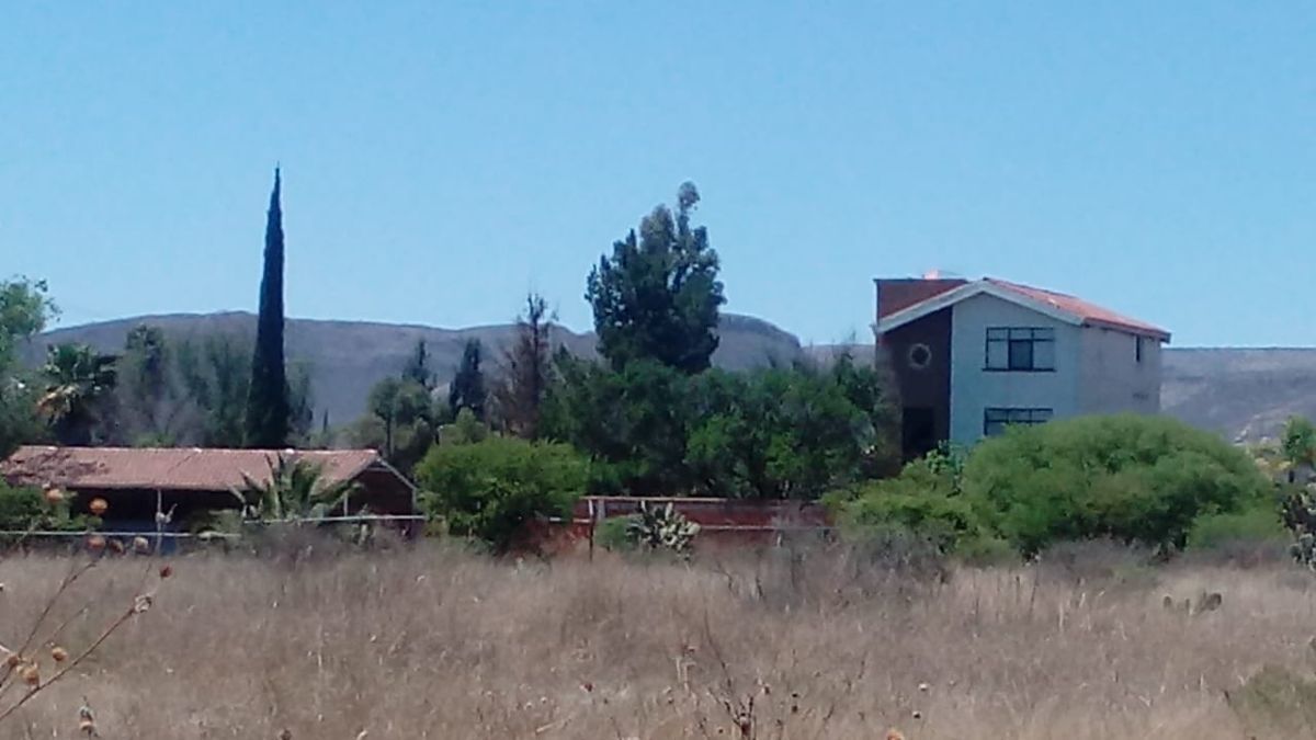 3 de 9
