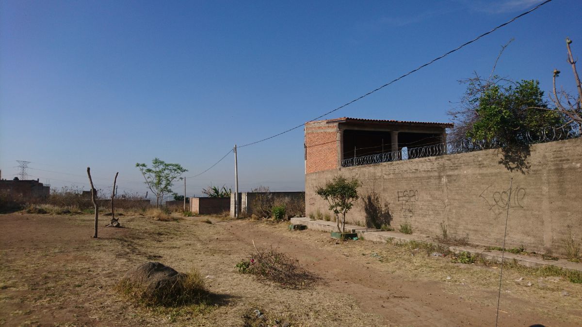 5 de 8
