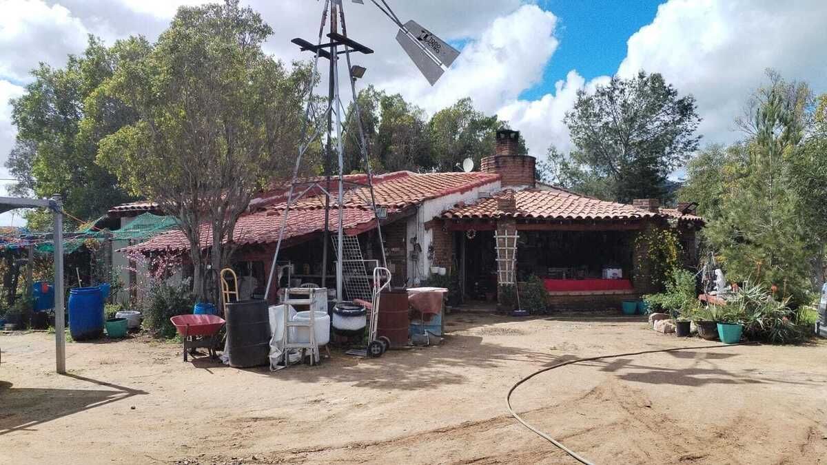 2 de 6