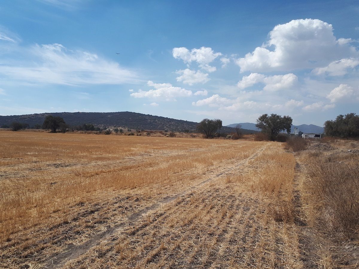 Venta Terreno a 40 min de la CDMX zona industrial de Zapotlán de Juárez