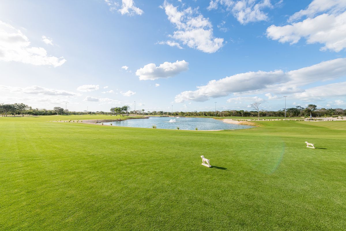 Lotes en Venta
Club de Golf
Chichén Realty