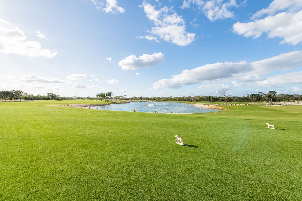 5 de 28: Lotes en Venta
Club de Golf
Chichén Realty