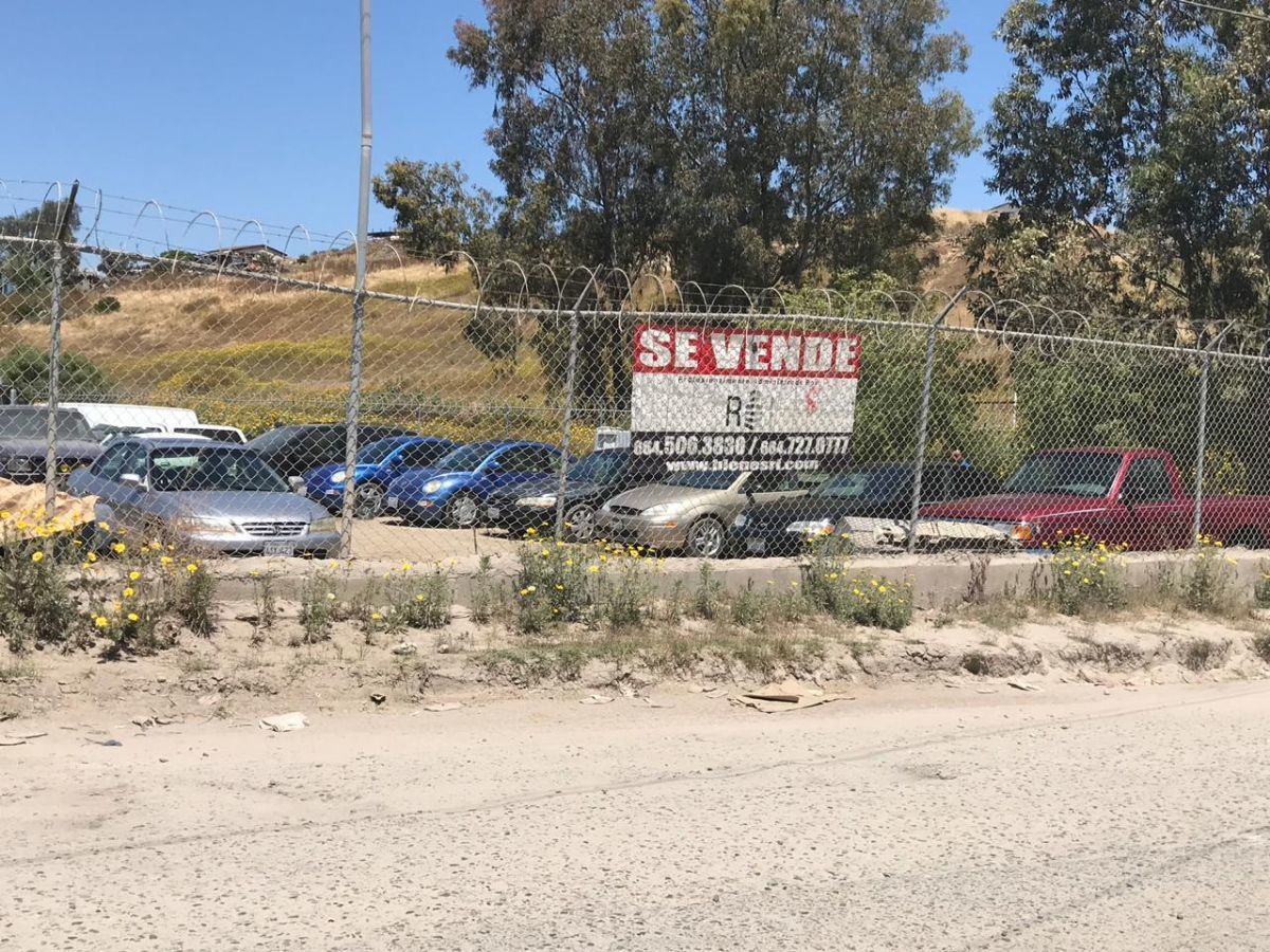 2 de 14