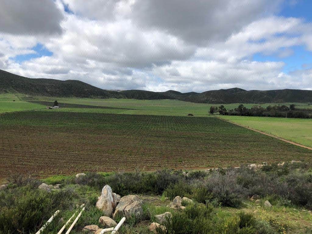 31 Hectáreas en Valle de Guadalupe