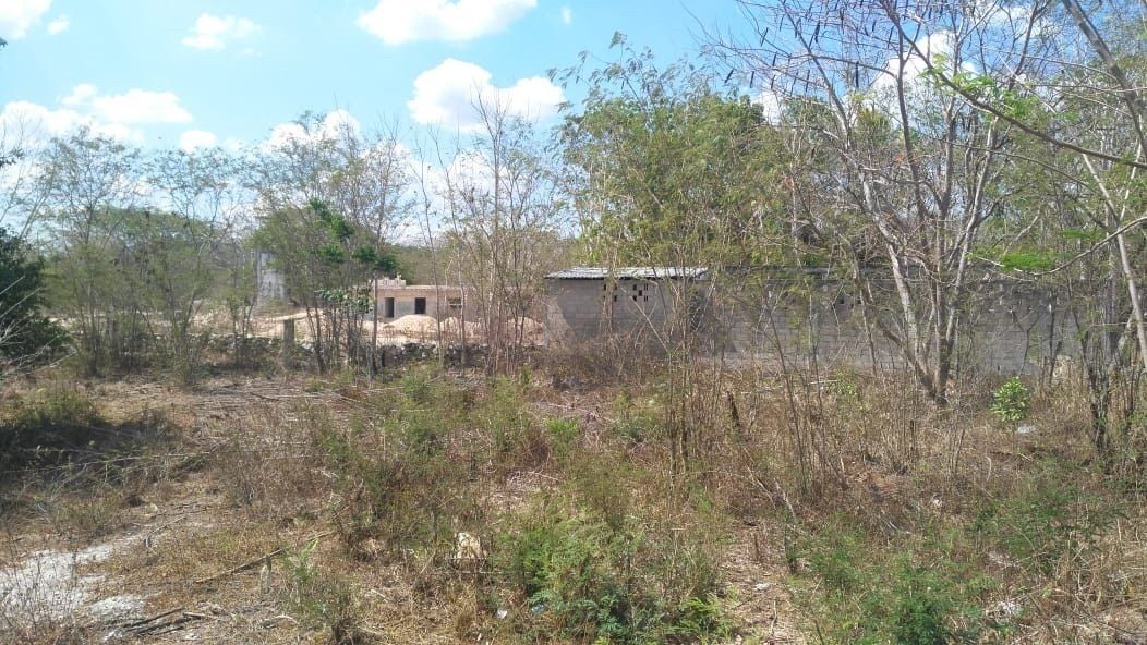 5 de 9: www.BejaranoRE.com - Terreno en Venta - Valladolid, Yucatán

