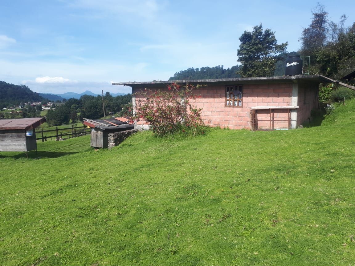 2 de 6