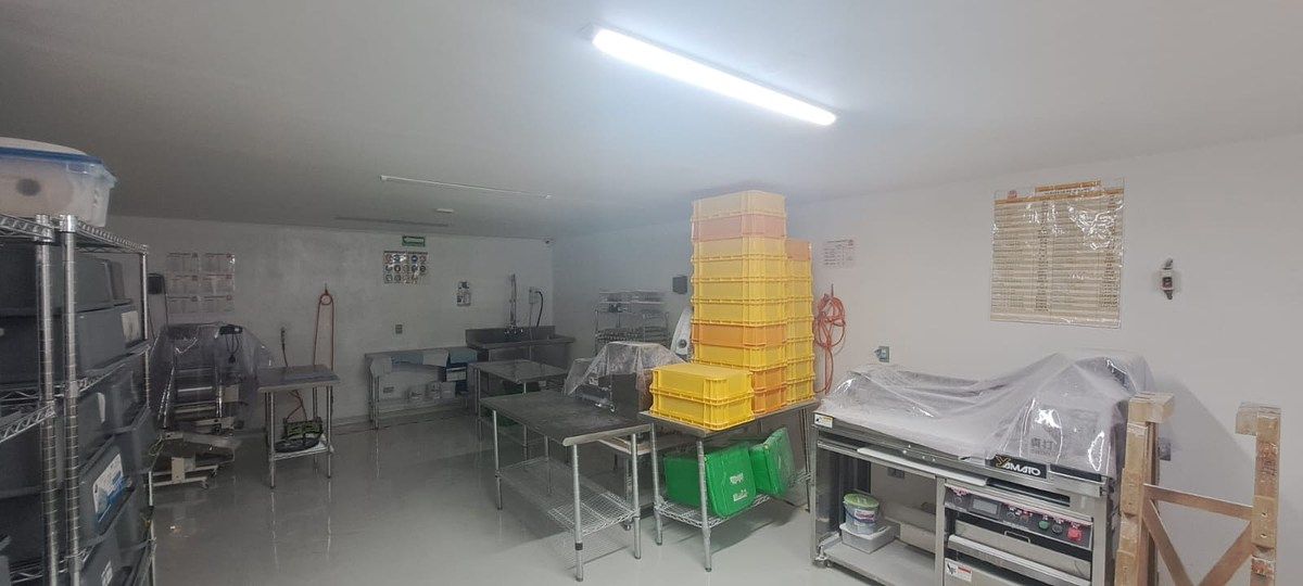 Bodega industrial en Santa Isabel Industrial, Iztapalapa, foto 12 de 23