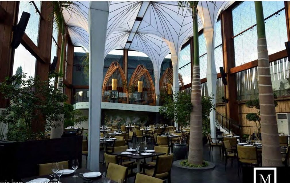 4 of 38: Restaurante 1er piso