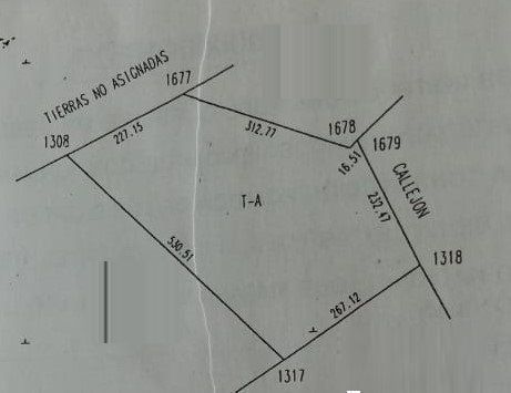 6 de 7