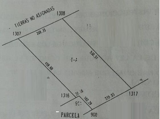 7 de 7