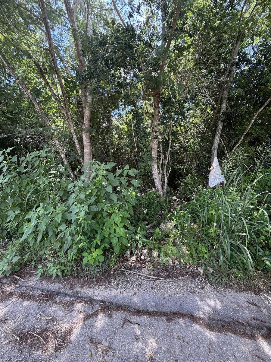 1 of 6