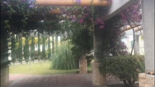 17 de 23