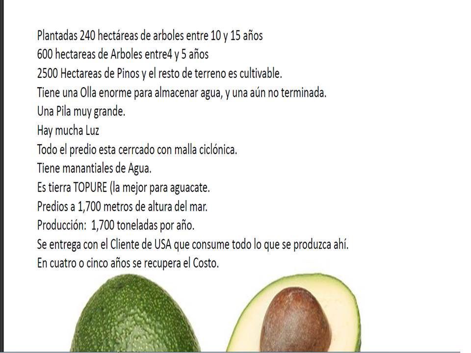 5 de 8