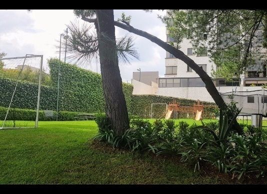 28 de 28: Bellos jardines y zonas arboladas