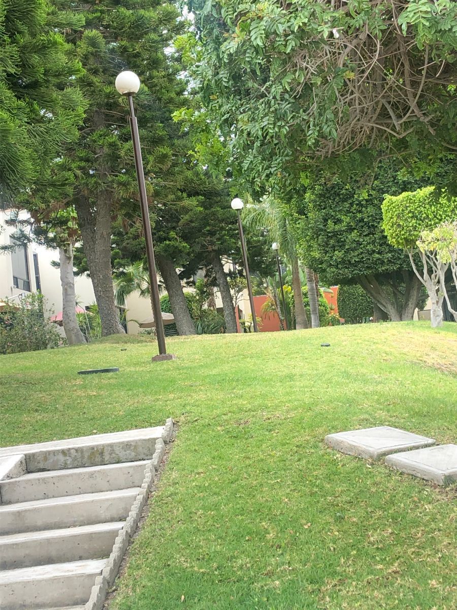 7 de 42