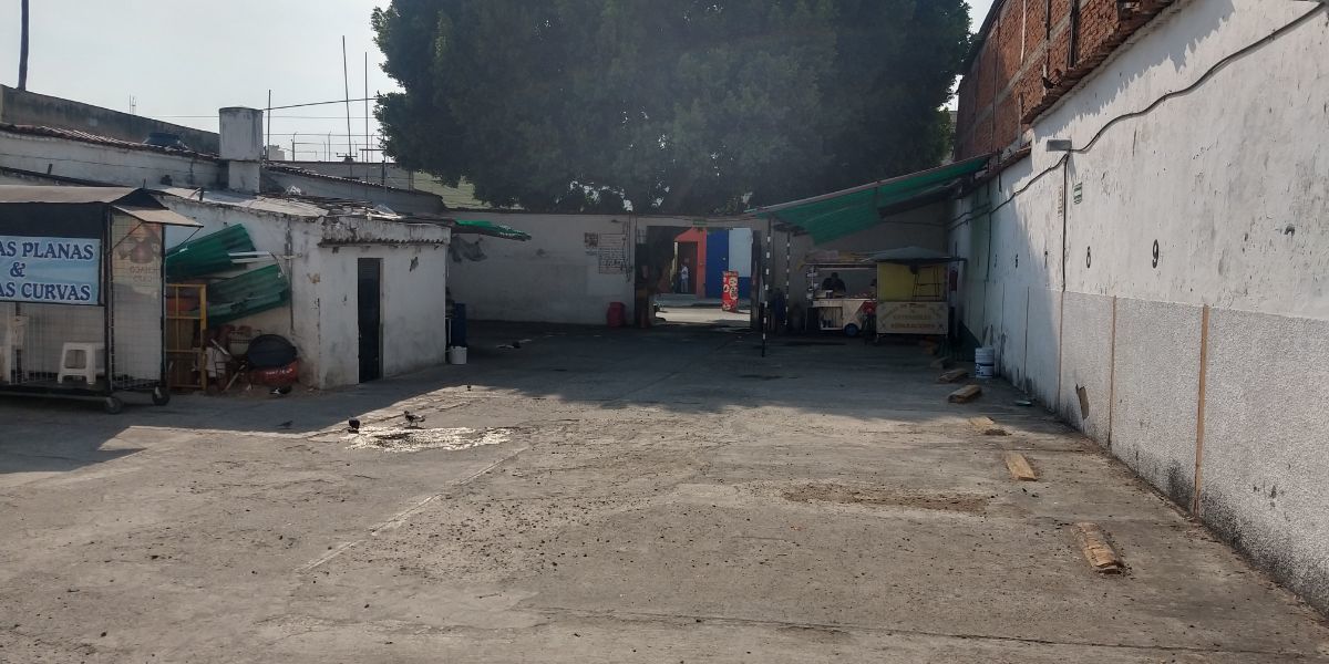 5 de 12