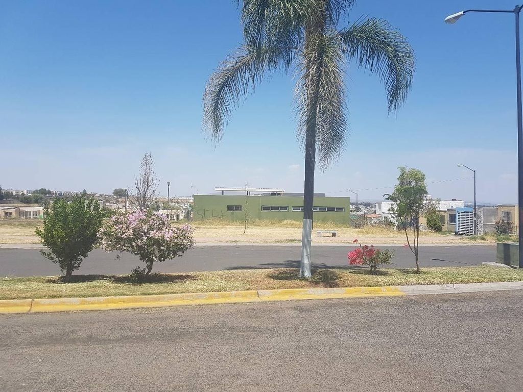 5 de 20
