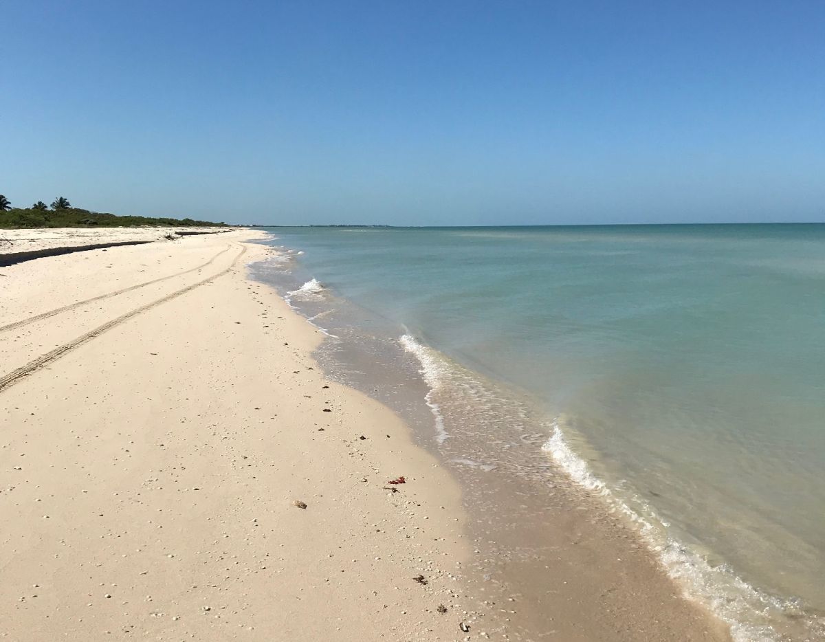 2 de 18: White sand beach
