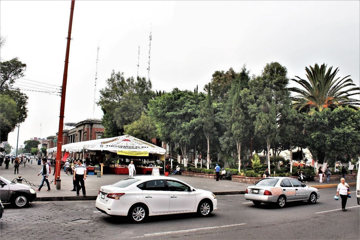 2 de 11