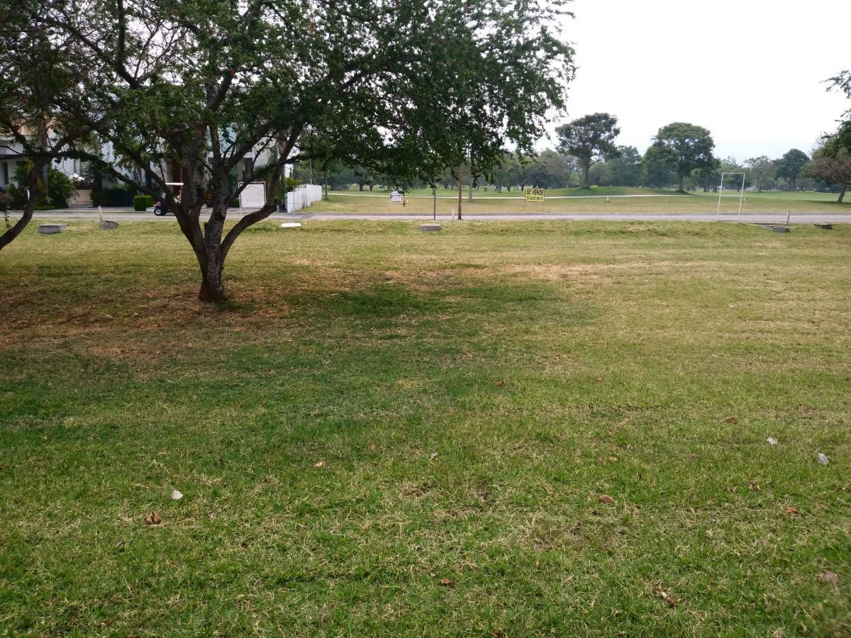 4 de 5