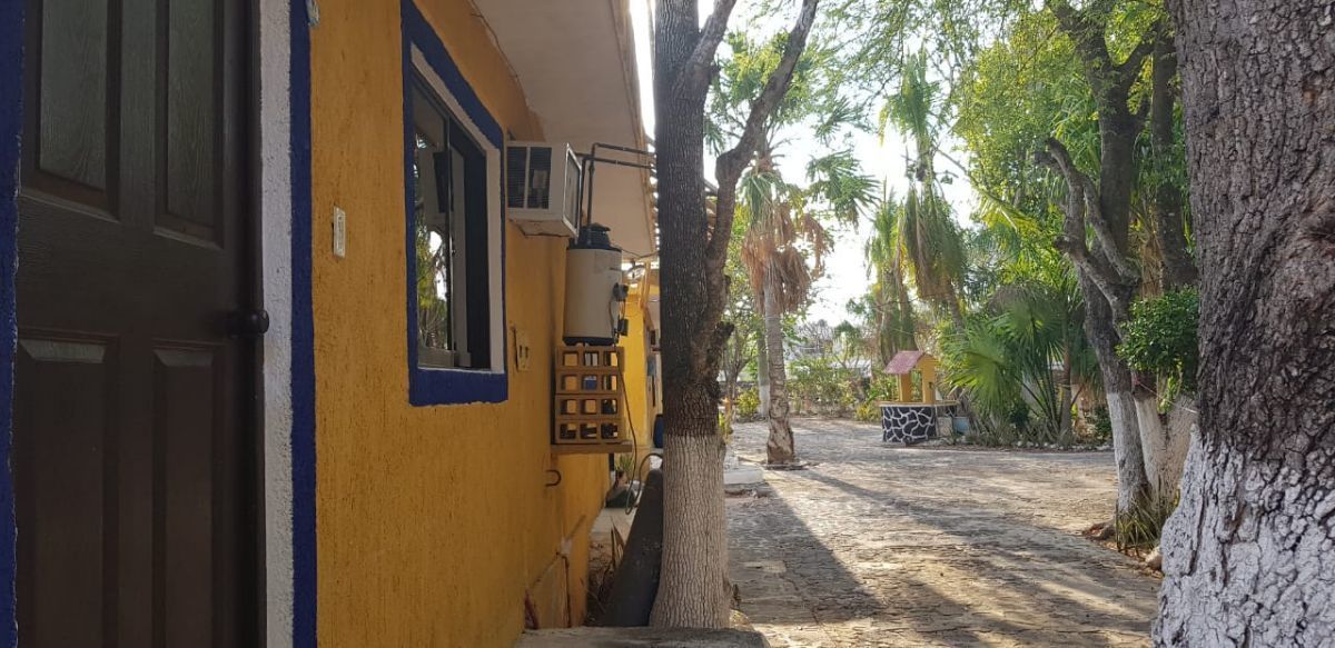 4 de 39