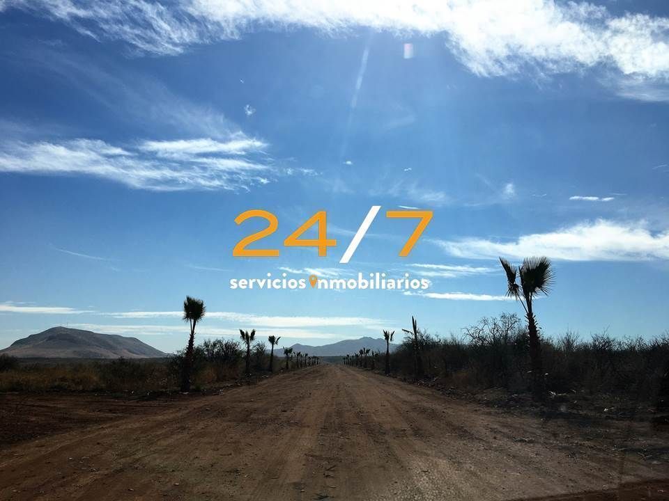 2 de 6