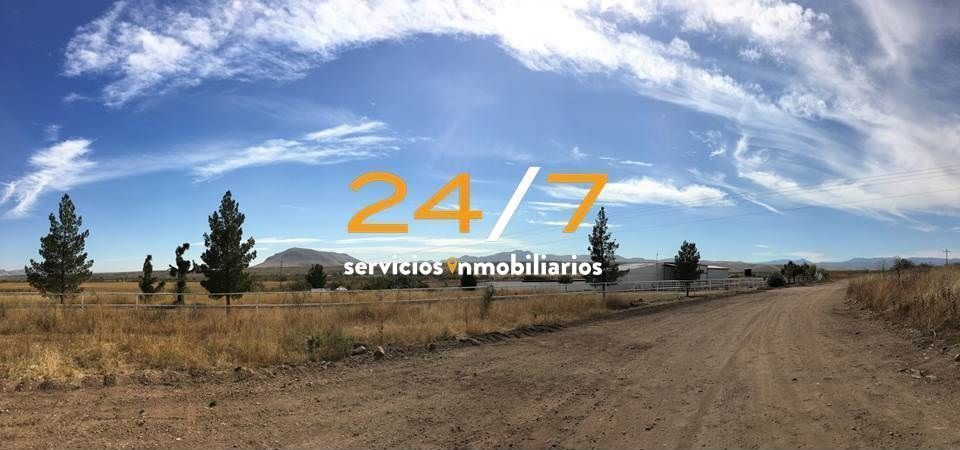 3 de 6