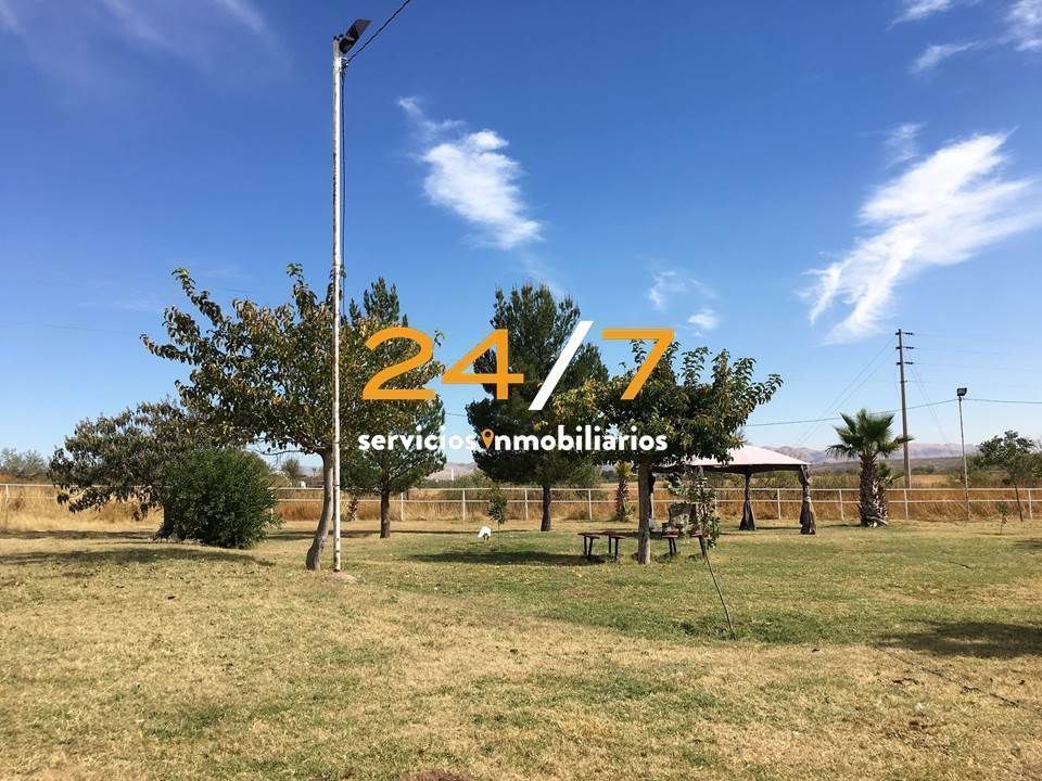 1 de 6