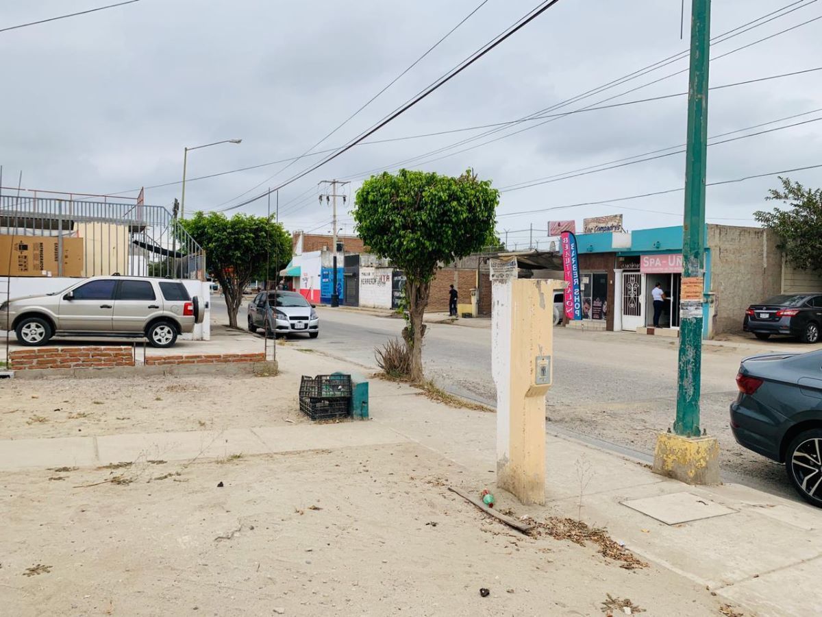 3 de 13