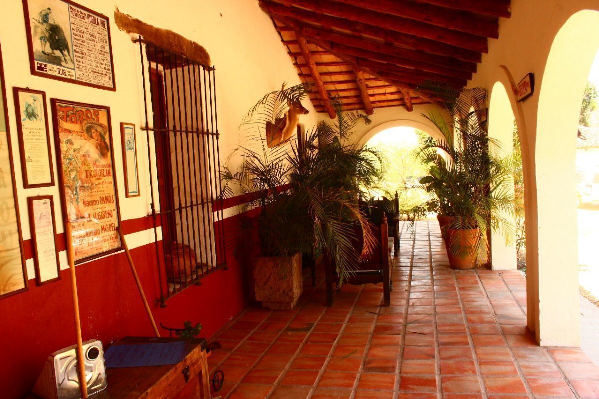 2 de 39