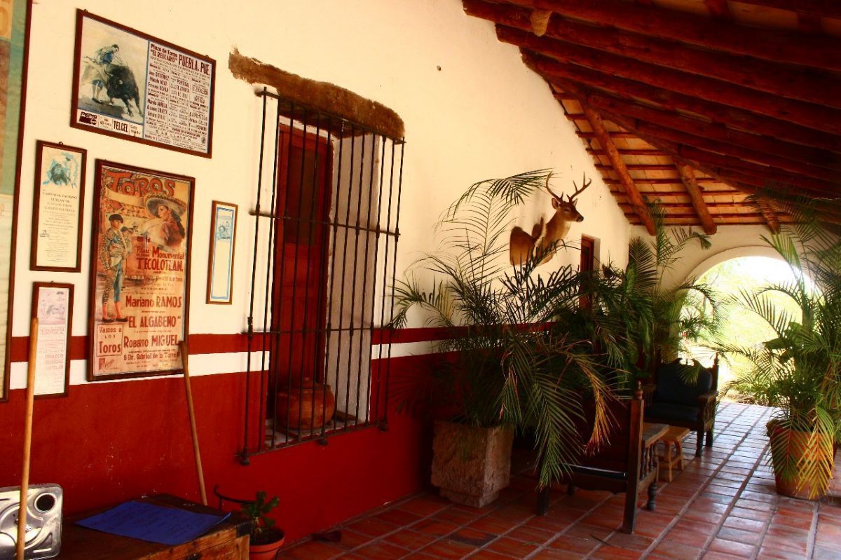 3 de 39