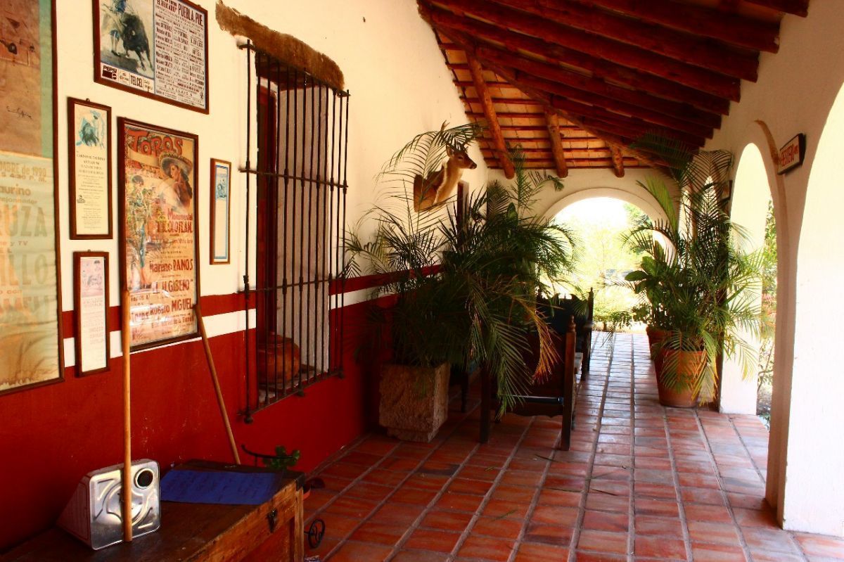 9 de 39