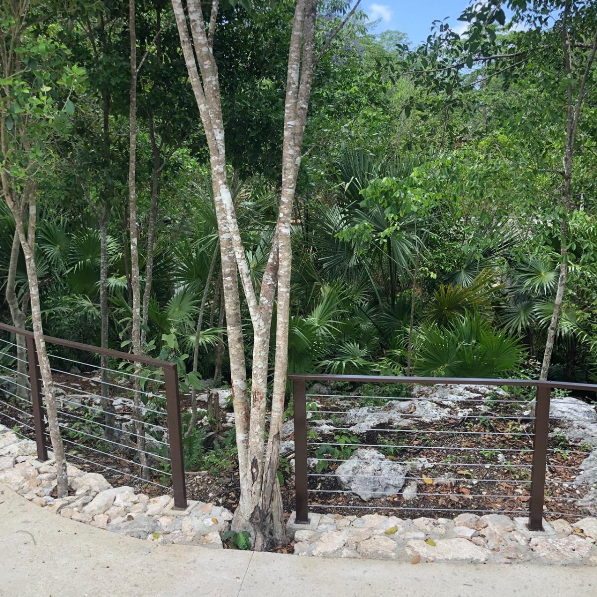 7 de 7: Cenote