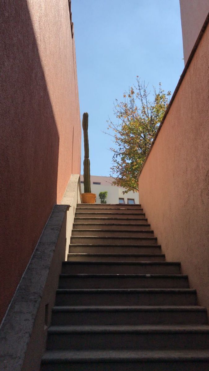 11 de 28