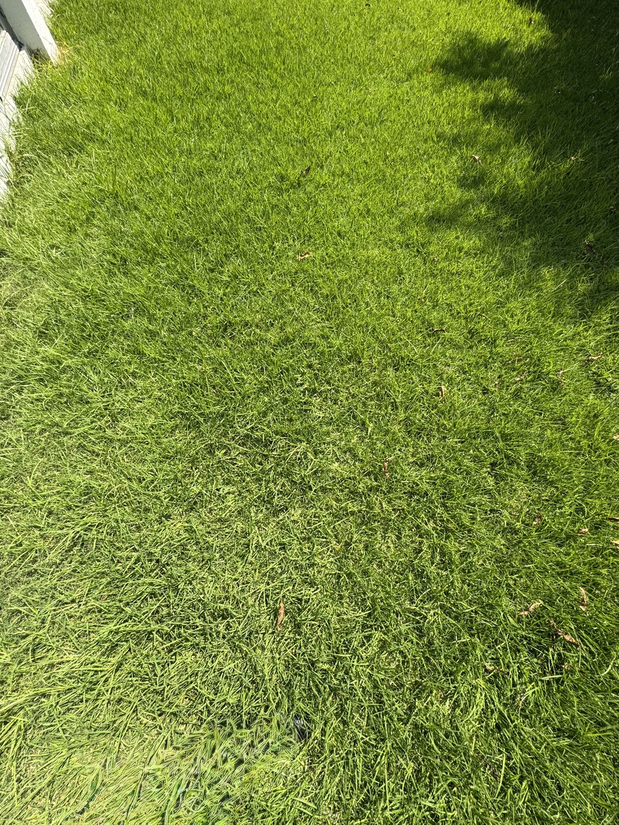38 de 50