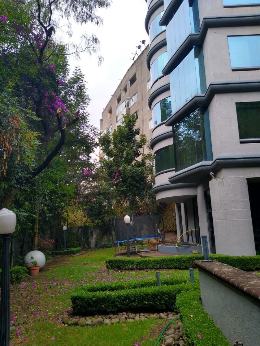 DOS RIOS, TERRENOS EN MAZAMITLA - foto 4