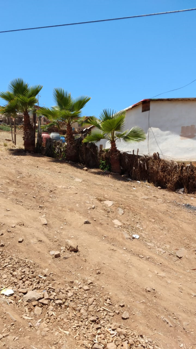 3 de 11: VISTA DE TERRENO DESDE LA CALLE