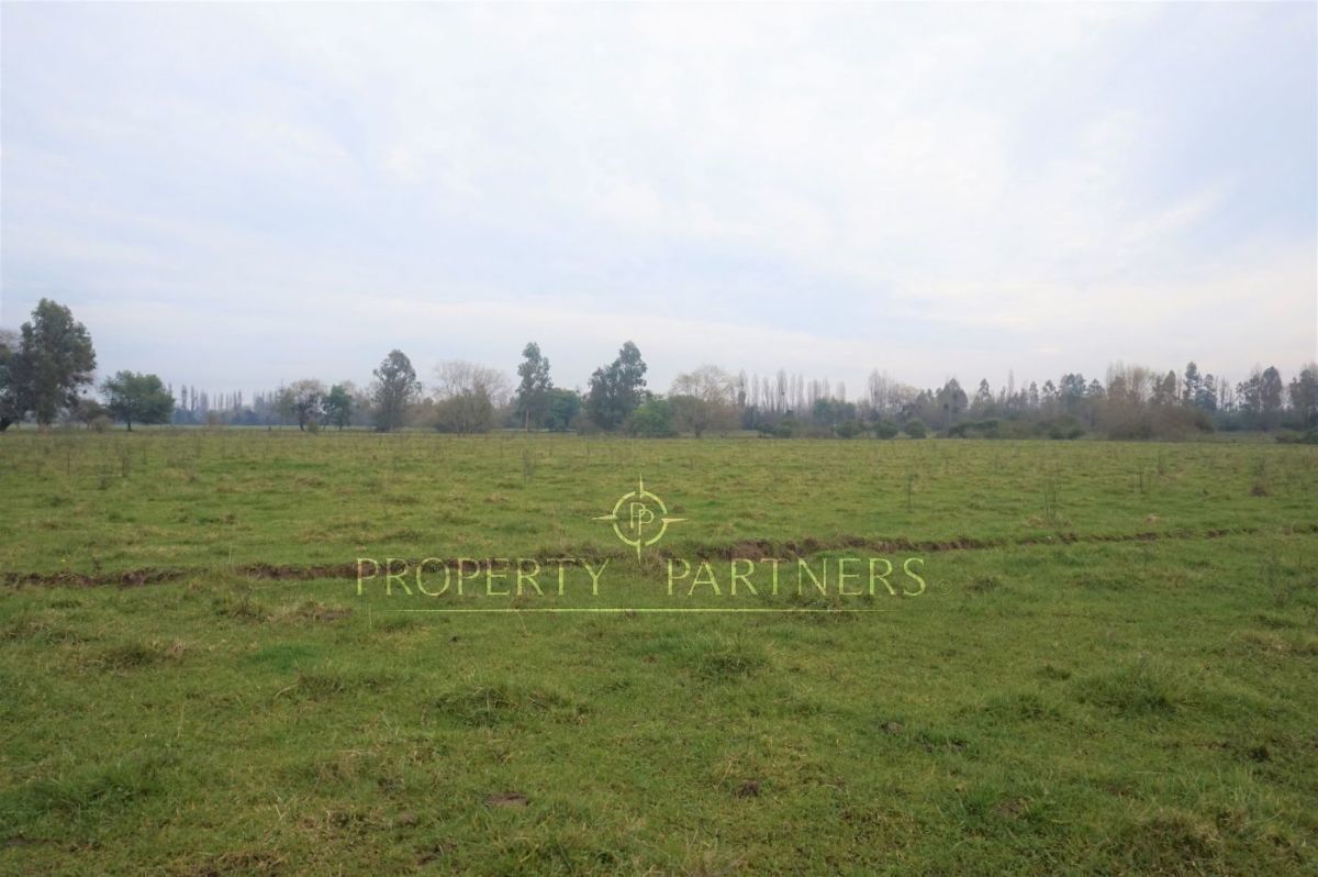 Campo En Linares Ideal Para Criadero De Caballos Frutas Y Ganado 23 Mill Ha