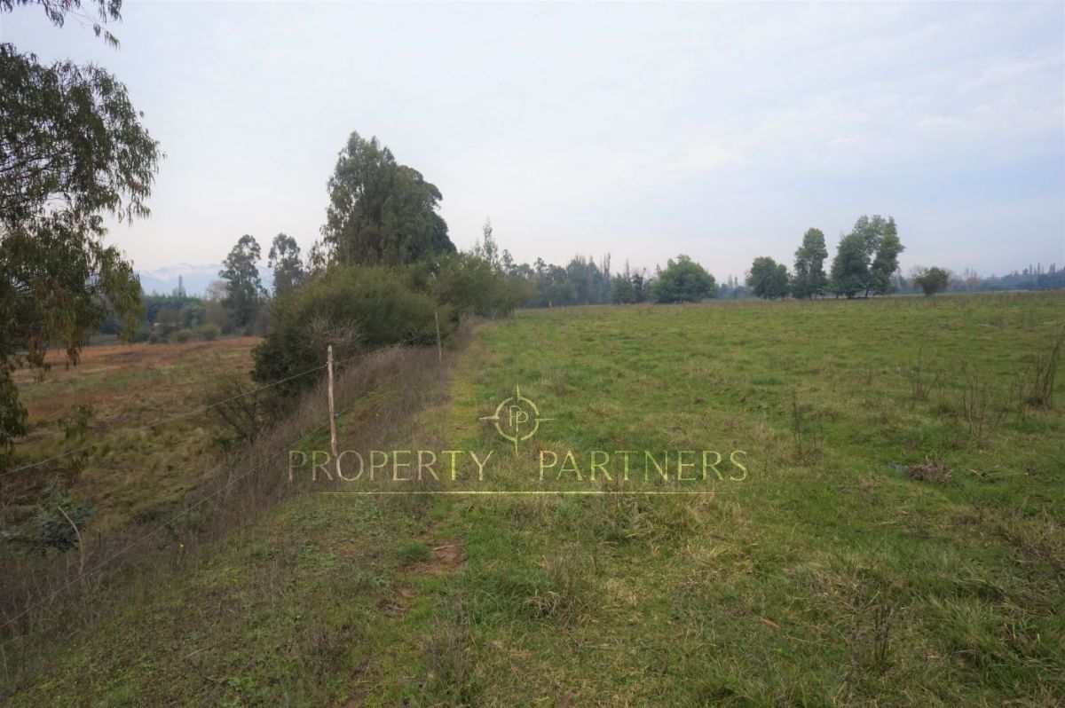 Campo En Linares Ideal Para Criadero De Caballos Frutas Y Ganado 23 Mill Ha Campo En Linares Ideal Para Criadero De Caballos Frutas Y Ganado 23 Mill Ha