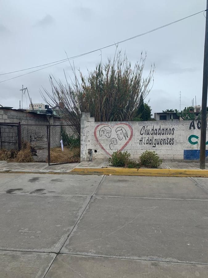 6 de 6