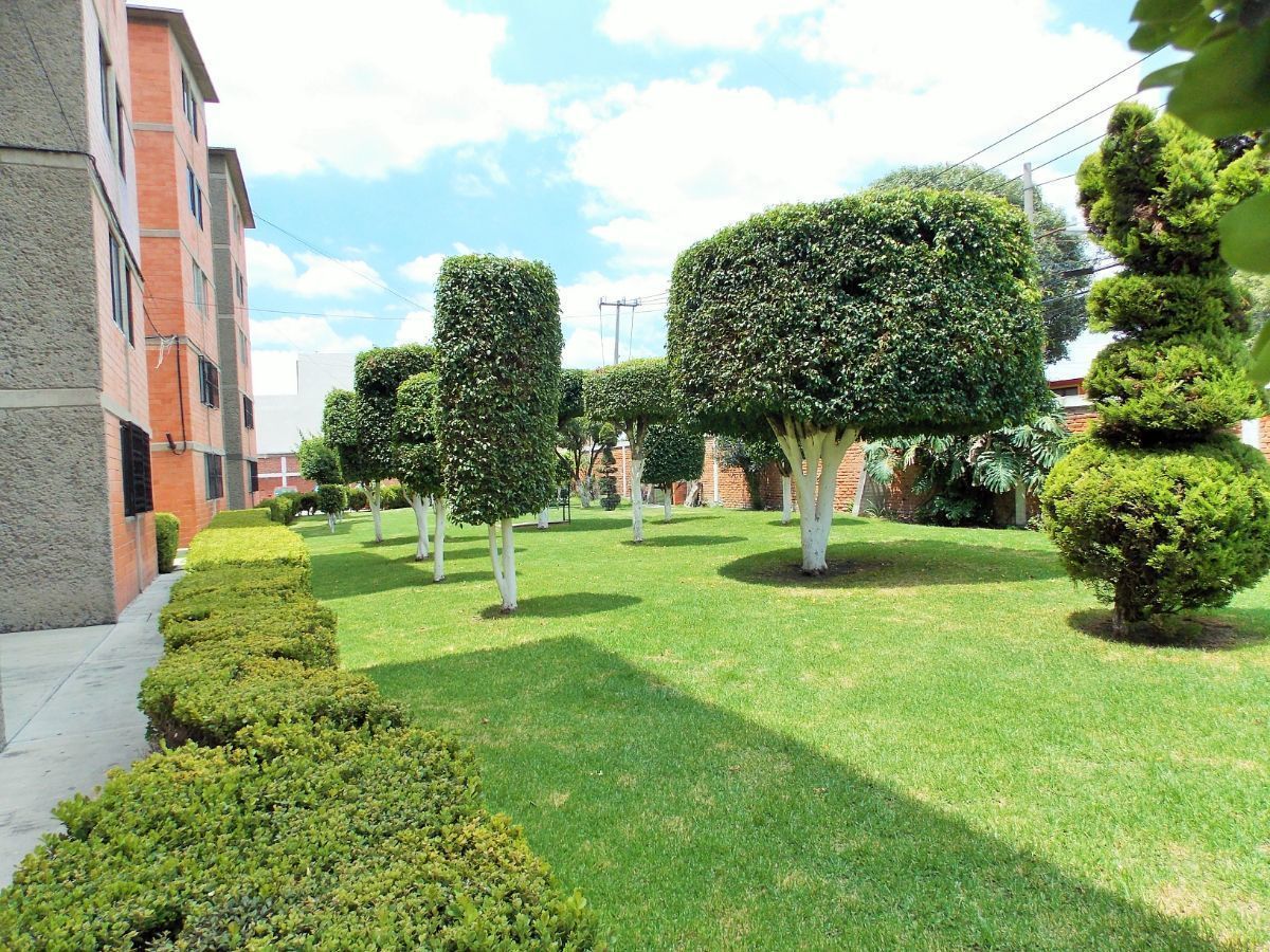 5 de 9