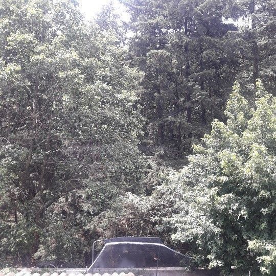 20 de 20: Vista desde casa