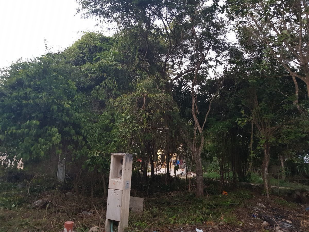 5 de 8